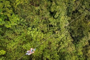 Canopy Zip line & Aerial Tram Tour Jacó