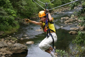 Canopy Zip line & Aerial Tram Tour