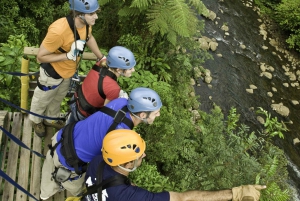 Canopy Zipline Eco-Adventure Tour Braulio Carrillo San Jose