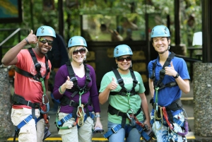 Canopy Zipline Eco-Adventure Tour Braulio Carrillo San Jose