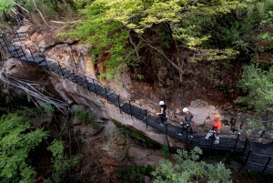 Canyon Canopy Tour