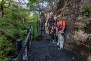 Canyon Canopy Tour