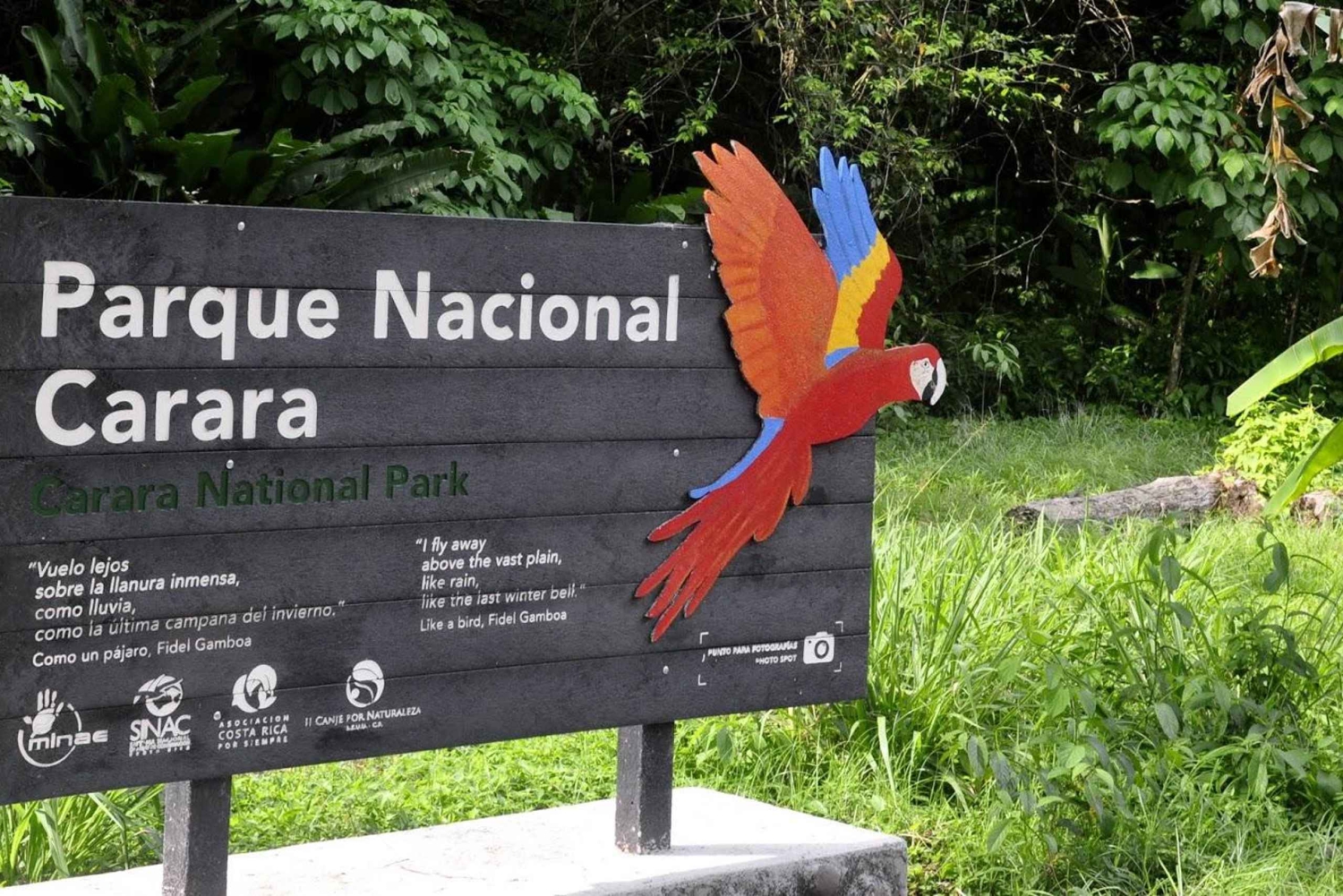 Carara National Park: Guidet gåtur Carara Costa Rica Natur