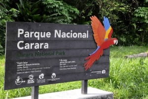 Carara National Park: Guidet gåtur Carara Costa Rica Natur