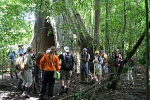 Park Narodowy Carara: Spacer z przewodnikiem Carara Kostaryka Przyroda