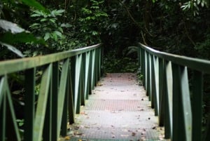Parque Nacional de Carara: Paseo guiado Carara Costa Rica Naturaleza