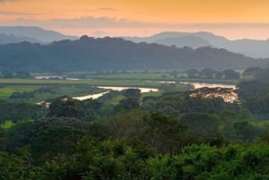 Carara National Park: Guidet gåtur Carara Costa Rica Natur