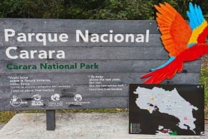Carara National Park: Guidet gåtur Carara Costa Rica Natur