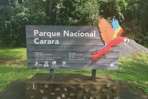 Carara National Park: Guidet gåtur Carara Costa Rica Natur