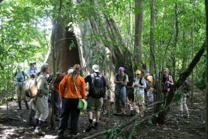 Carara nationalpark: Guidad vandring Carara Costa Rica Natur