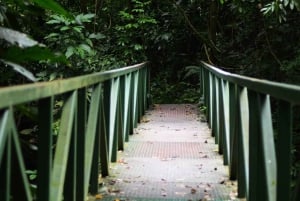 Carara nationalpark: Guidad vandring Carara Costa Rica Natur