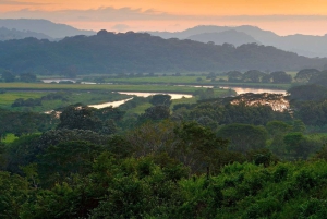 Carara nationalpark: Guidad vandring Carara Costa Rica Natur