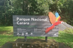 Carara nationalpark: Guidad vandring Carara Costa Rica Natur