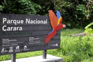 Carara National Park: Guidet gåtur Carara Costa Rica Natur