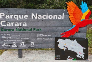 Carara National Park: Guidet gåtur Carara Costa Rica Natur
