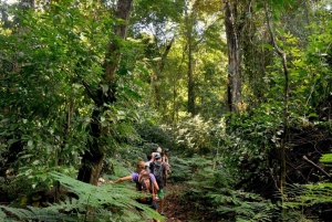 Carara National Park: Guidet gåtur Carara Costa Rica Natur
