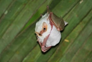 Tour del Parco Nazionale della Carara