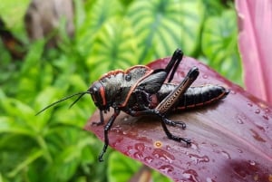 Tour del Parco Nazionale della Carara