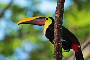 Tour del Parco Nazionale della Carara