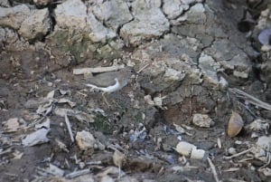 Tour del Parco Nazionale della Carara