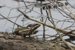 Tour del Parco Nazionale della Carara