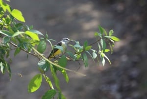 Tour del Parco Nazionale della Carara