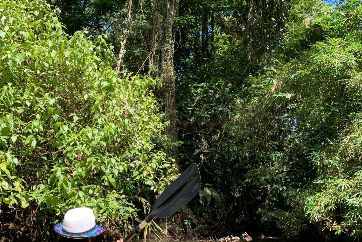 EXPERIÊNCIA NAS CARAÍBAS - PUNTA UVA