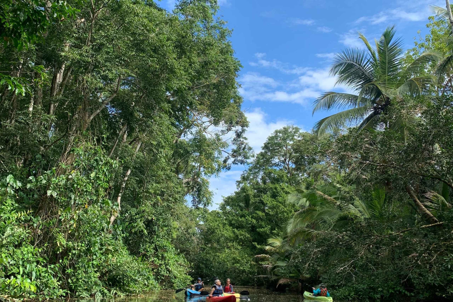 EXPERIÊNCIA NAS CARAÍBAS - PUNTA UVA