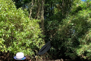 EXPERIÊNCIA NAS CARAÍBAS - PUNTA UVA