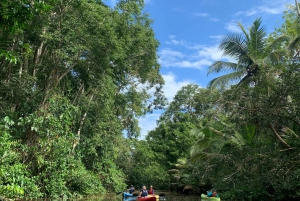 EXPERIÊNCIA NAS CARAÍBAS - PUNTA UVA