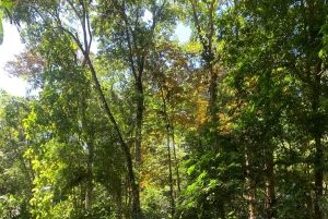 EXPERIÊNCIA NAS CARAÍBAS - PUNTA UVA