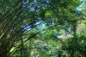 EXPERIÊNCIA NAS CARAÍBAS - PUNTA UVA