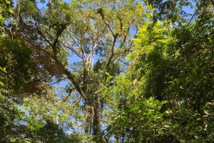 EXPERIÊNCIA NAS CARAÍBAS - PUNTA UVA