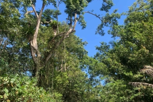 EXPERIÊNCIA NAS CARAÍBAS - PUNTA UVA