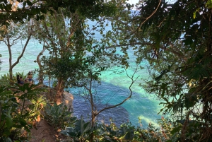 EXPERIÊNCIA NAS CARAÍBAS - PUNTA UVA