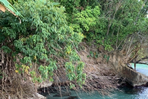 EXPERIÊNCIA NAS CARAÍBAS - PUNTA UVA