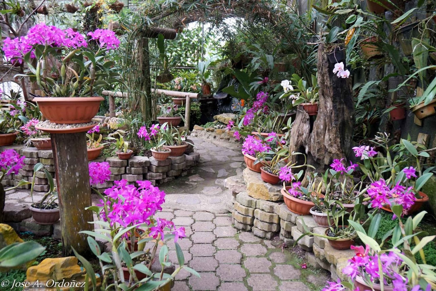 Cartago: Et unikt utvalg av Cartagos underverker