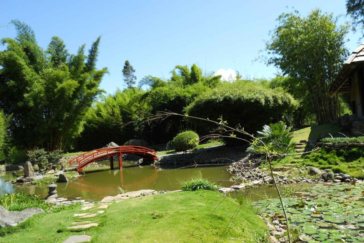 Cartago: Et unikt utvalg av Cartagos underverker