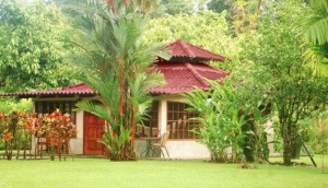 Casa Corcovado Jungle Lodge