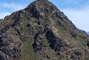 Tur til Cerro Chirripo i Costa Rica: bestigning af det evige vand