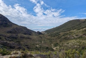 Tur til Cerro Chirripo i Costa Rica: bestigning af det evige vand