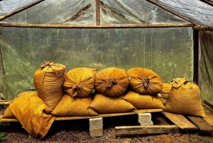 Elaboración de chocolate en una aldea indígena y visita a la cascada