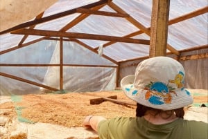 Elaboración de chocolate en una aldea indígena y visita a la cascada