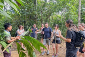 Elaboración de chocolate en una aldea indígena y visita a la cascada