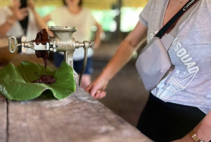 Elaboración de chocolate en una aldea indígena y visita a la cascada