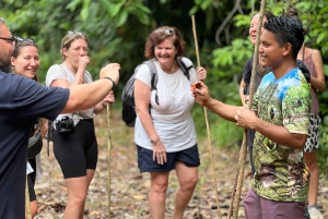 Elaboración de chocolate en una aldea indígena y visita a la cascada