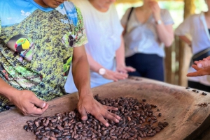 Elaboración de chocolate en una aldea indígena y visita a la cascada