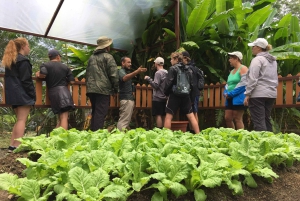 Visita ao chocolate, à baunilha e ao café