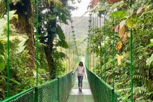 Cloud Forest: Hanging Bridges Tour with a Local Tour Guide