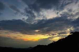 Promenade nocturne dans la forêt des nuages